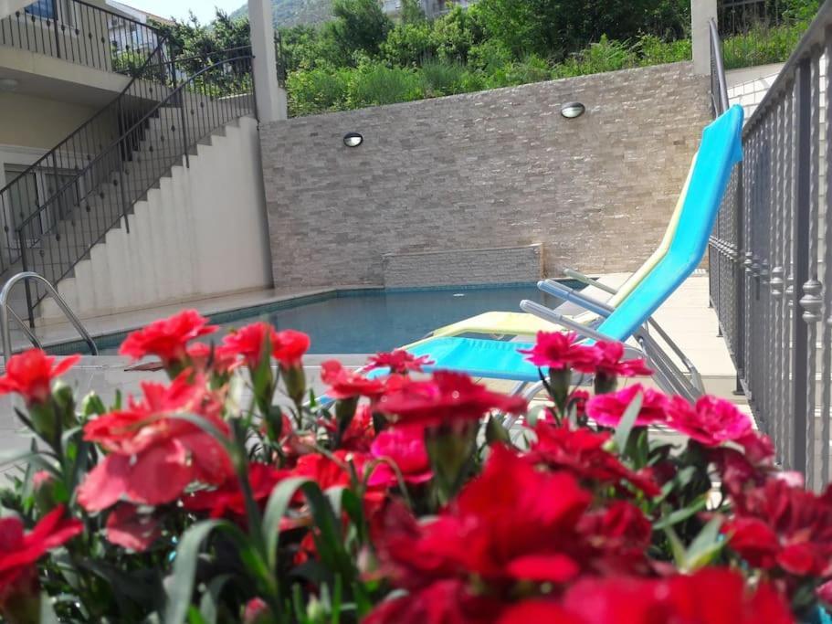 2Br Apartment With Pool Kotor Extérieur photo